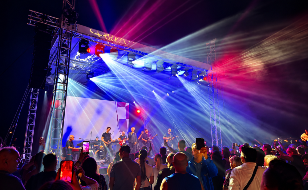 Vibrant Night Concert Crowd